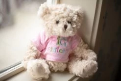 Bearington Ima Big Sister Plush Stuffed Animal Teddy Bear In Pink T-Shirt, 12 Inches -Dolls Discount Store GUEST 5354779a b289 471a 9b60 25db83881baa