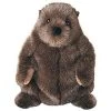 Douglas Chuckwood Groundhog Plush Stuffed Animal -Dolls Discount Store GUEST 72f9215e bba6 4566 8ff4 70990e3d4113