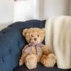 Bearington Theodore Brown Plush Stuffed Animal Teddy Bear, 17 Inches -Dolls Discount Store GUEST 7bf3c423 ffa9 4802 b91d f6f11d0d9f88