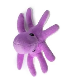 Plush Creations Ocean Animals, Set Of 8 -Dolls Discount Store GUEST 7d898ee0 ac66 4b9f 8b1d badbceee55d1