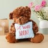 Get Well Soon Bear Plush Pillow, Get Well Soon Bear For Kids, Adults (Dark Brown, 14 In) -Dolls Discount Store GUEST 9737529c cf66 41f0 906e b953ab20713b