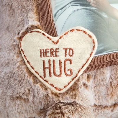 DEMDACO Here To Hug Bear 7 DEMDACO Here To Hug Bear - Image 5