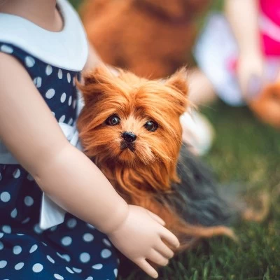 The Queen's Treasures Teacup Yorkie Puppy, Collar, & Leash For 18" Dolls 3 The Queen's Treasures Teacup Yorkie Puppy, Collar, & Leash For 18" Dolls