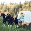 The Queen's Treasures 18 In Doll Covered Prairie Wagon/Sleigh And 2 Horses -Dolls Discount Store GUEST dd24f4e9 1738 4998 ac62 f32544f5d416