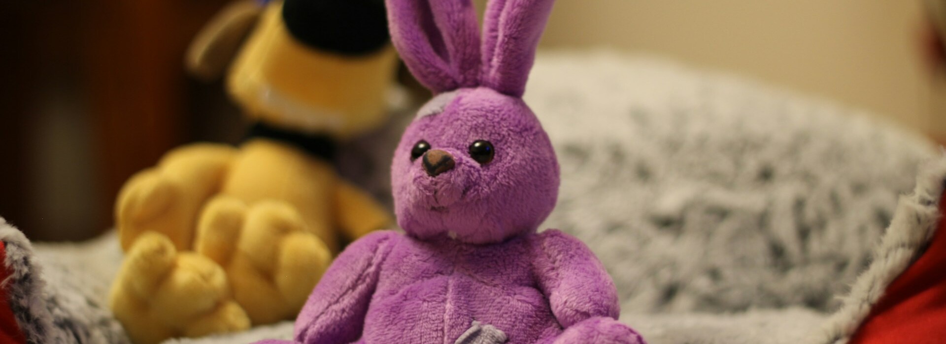 Dolls Discount Store 1 Dolls Discount Store -Dolls Discount Store paulo almeida Qw8yTZVguQU unsplash 1